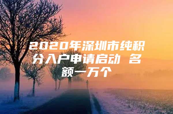 2020年深圳市纯积分入户申请启动 名额一万个