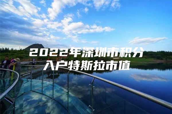 2022年深圳市积分入户特斯拉市值