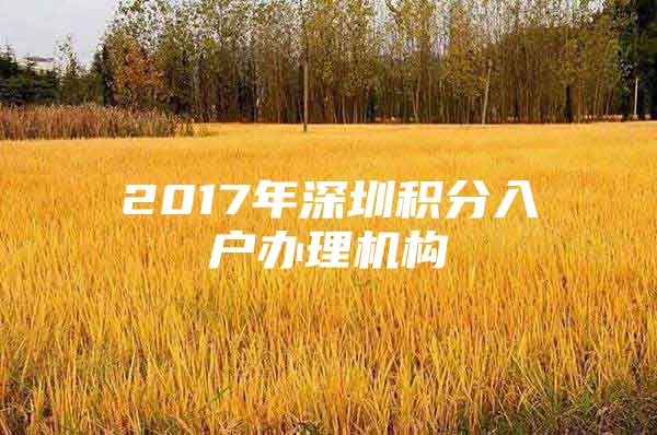 2017年深圳积分入户办理机构