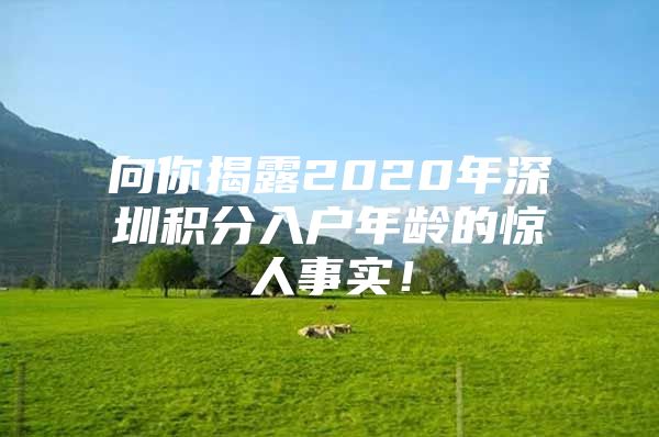 向你揭露2020年深圳积分入户年龄的惊人事实！