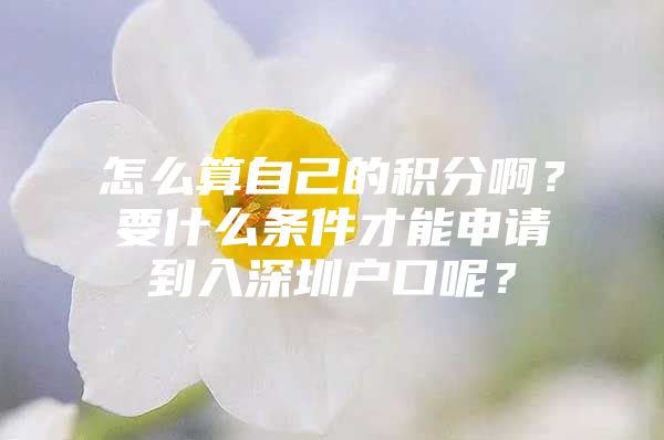 怎么算自己的积分啊？要什么条件才能申请到入深圳户口呢？