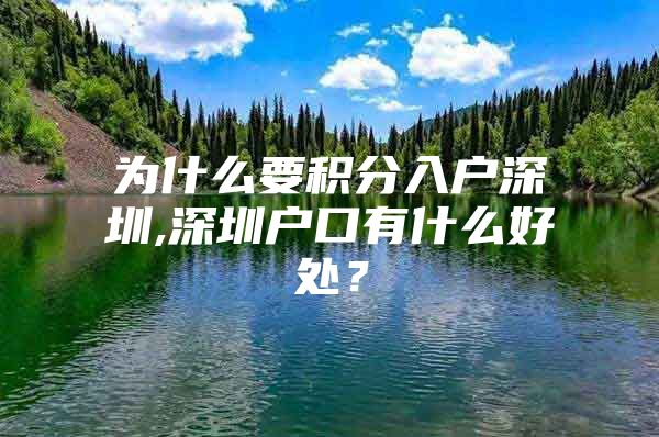 为什么要积分入户深圳,深圳户口有什么好处？