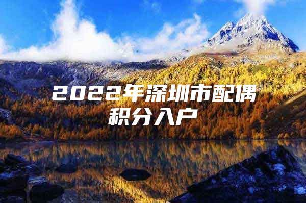 2022年深圳市配偶积分入户