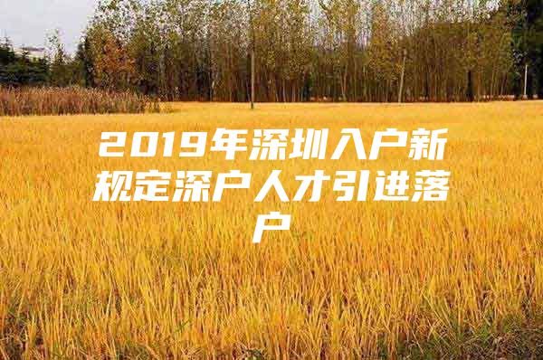 2019年深圳入户新规定深户人才引进落户