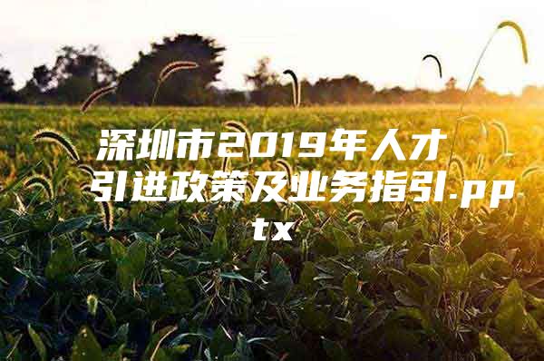 深圳市2019年人才引进政策及业务指引.pptx