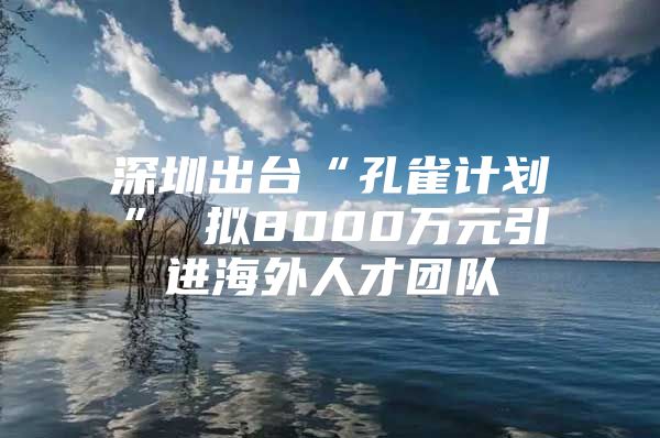 深圳出台“孔雀计划” 拟8000万元引进海外人才团队