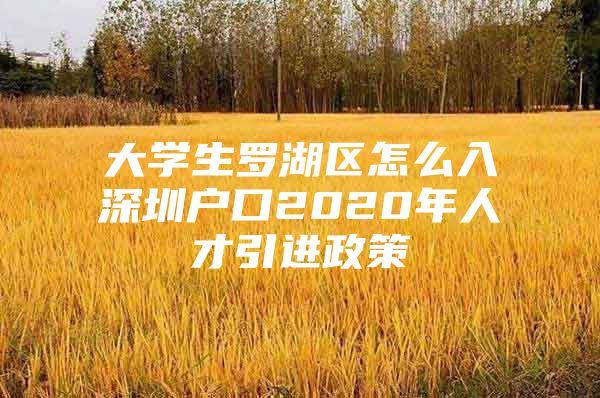 大学生罗湖区怎么入深圳户口2020年人才引进政策