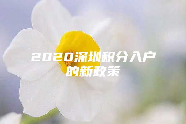 2020深圳积分入户的新政策