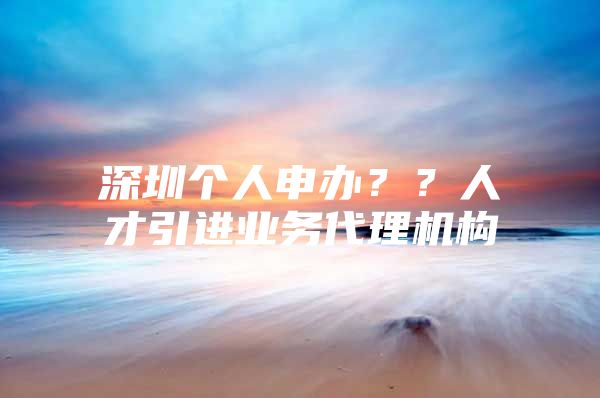 深圳个人申办？？人才引进业务代理机构