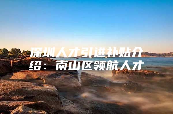 深圳人才引进补贴介绍：南山区领航人才