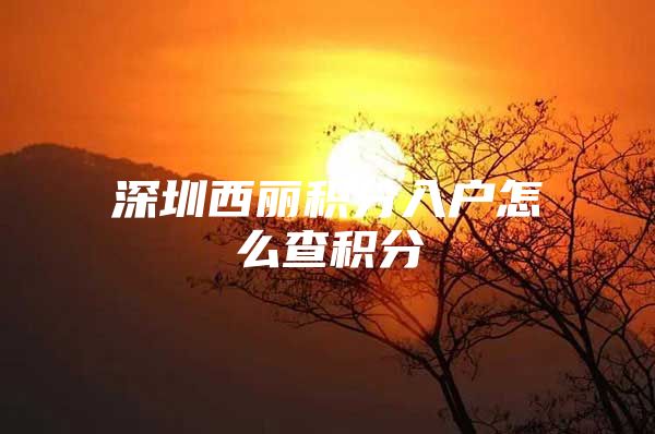 深圳西丽积分入户怎么查积分