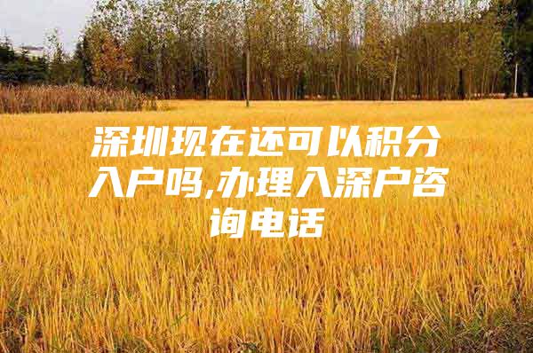 深圳现在还可以积分入户吗,办理入深户咨询电话