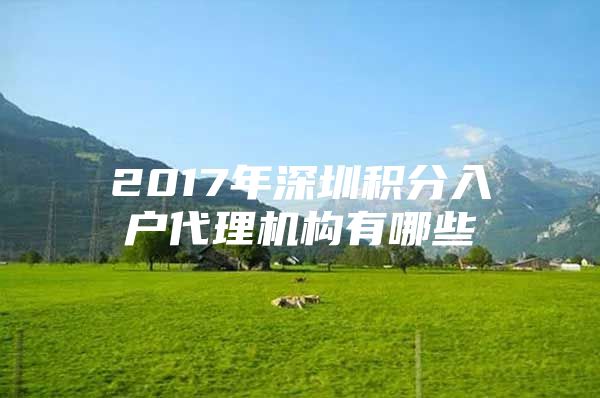 2017年深圳积分入户代理机构有哪些