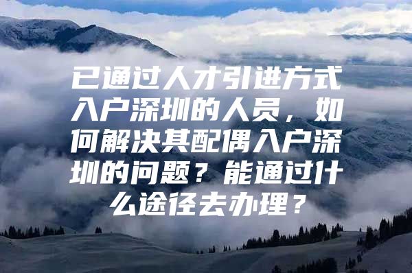 已通过人才引进方式入户深圳的人员，如何解决其配偶入户深圳的问题？能通过什么途径去办理？