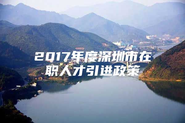 2017年度深圳市在职人才引进政策