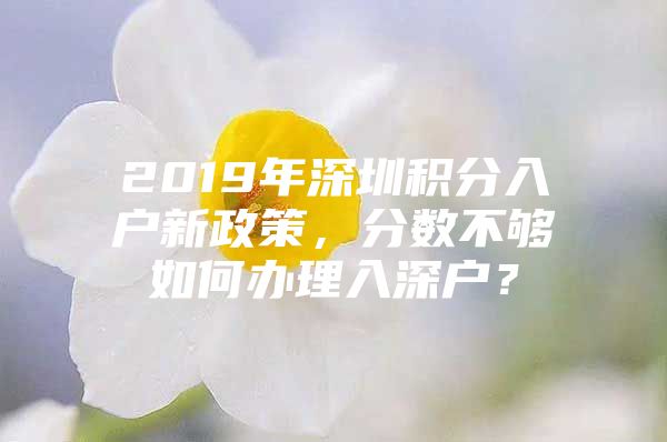 2019年深圳积分入户新政策，分数不够如何办理入深户？