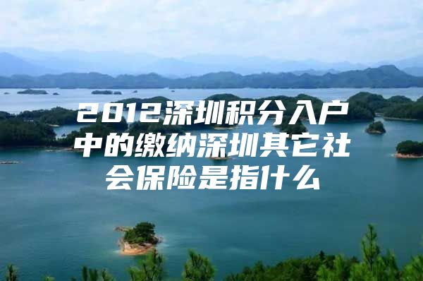 2012深圳积分入户中的缴纳深圳其它社会保险是指什么