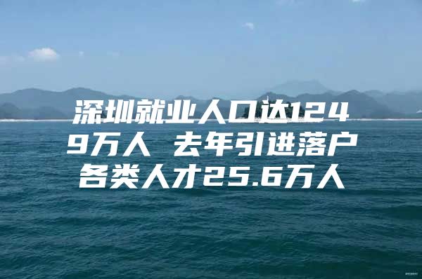 深圳就业人口达1249万人 去年引进落户各类人才25.6万人