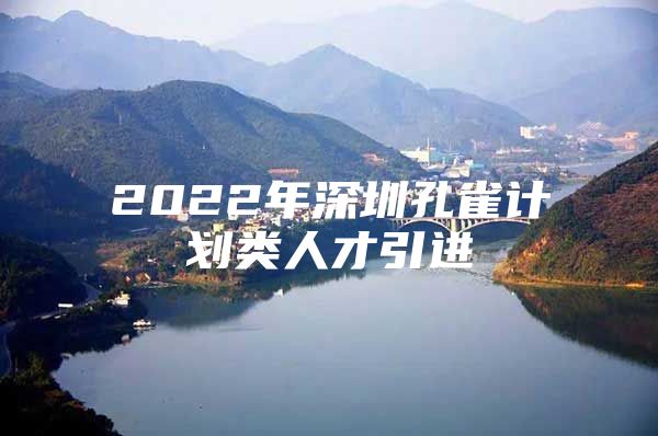 2022年深圳孔雀计划类人才引进