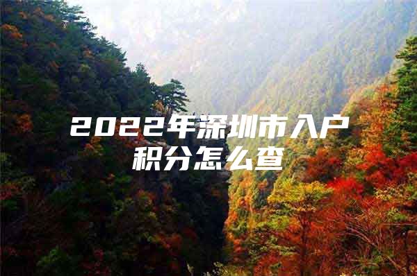 2022年深圳市入户积分怎么查