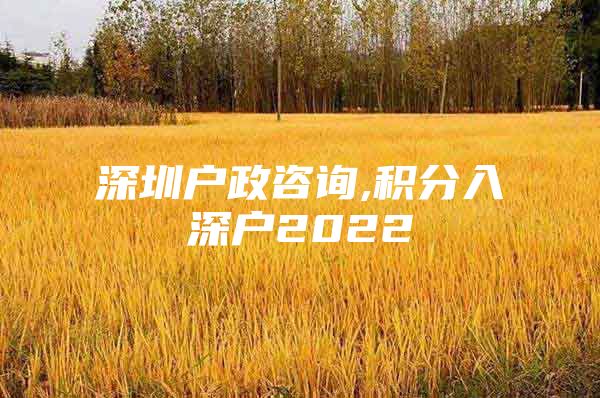 深圳户政咨询,积分入深户2022