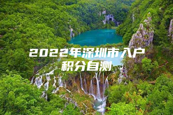 2022年深圳市入户积分自测