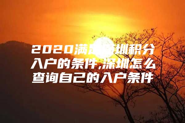 2020满足深圳积分入户的条件,深圳怎么查询自己的入户条件