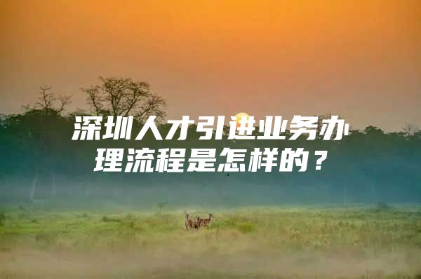 深圳人才引进业务办理流程是怎样的？