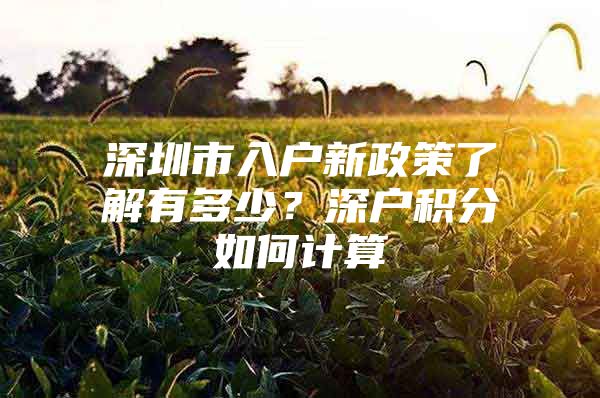 深圳市入户新政策了解有多少？深户积分如何计算