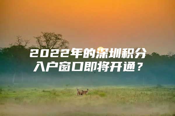 2022年的深圳积分入户窗口即将开通？