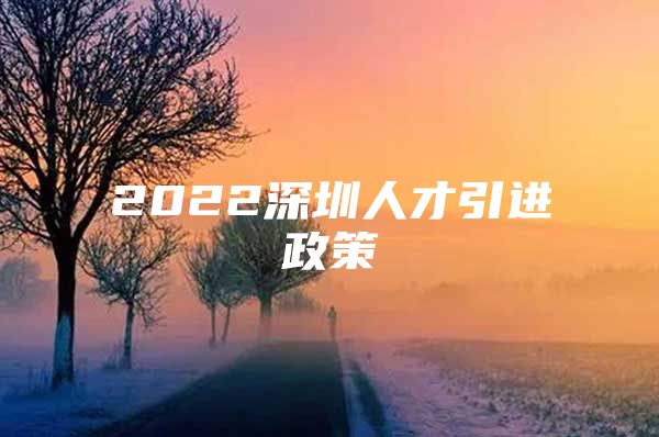 2022深圳人才引进政策