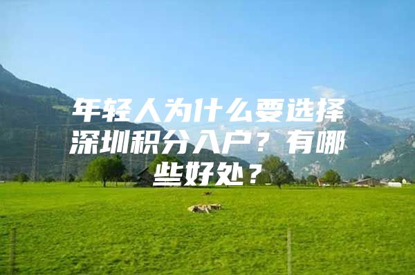 年轻人为什么要选择深圳积分入户？有哪些好处？