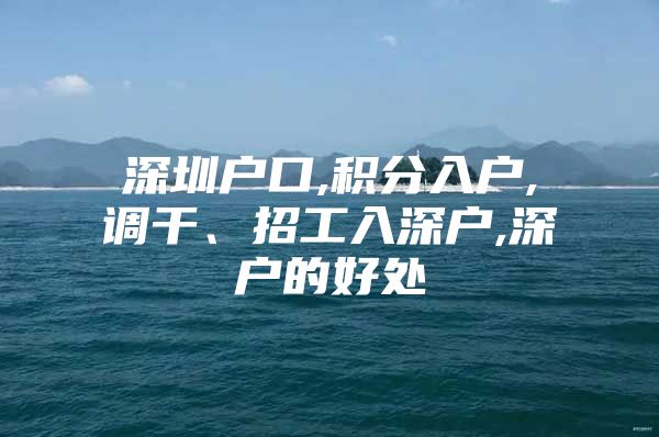 深圳户口,积分入户,调干、招工入深户,深户的好处