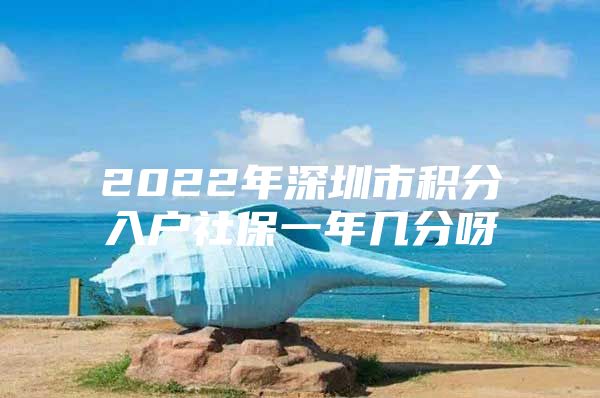 2022年深圳市积分入户社保一年几分呀