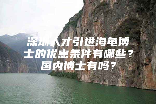 深圳人才引进海龟博士的优惠条件有哪些？国内博士有吗？