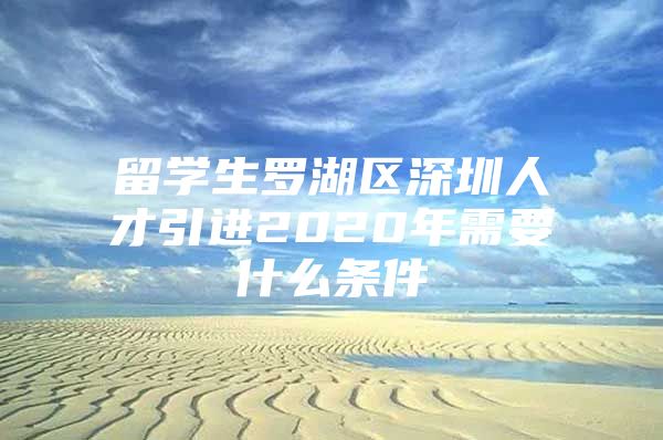 留学生罗湖区深圳人才引进2020年需要什么条件