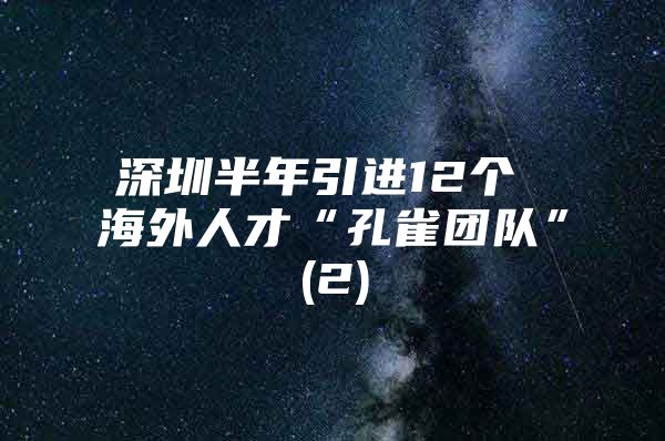 深圳半年引进12个 海外人才“孔雀团队”(2)