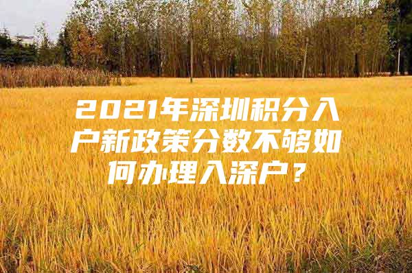 2021年深圳积分入户新政策分数不够如何办理入深户？