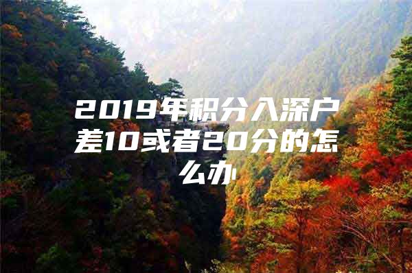 2019年积分入深户差10或者20分的怎么办