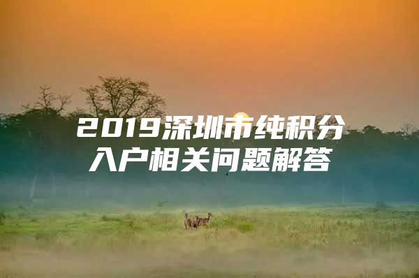 2019深圳市纯积分入户相关问题解答