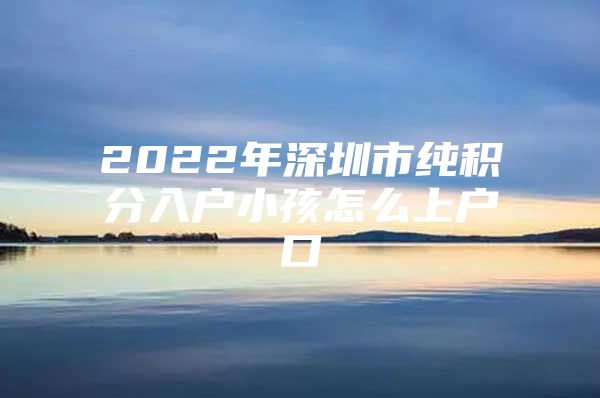 2022年深圳市纯积分入户小孩怎么上户口