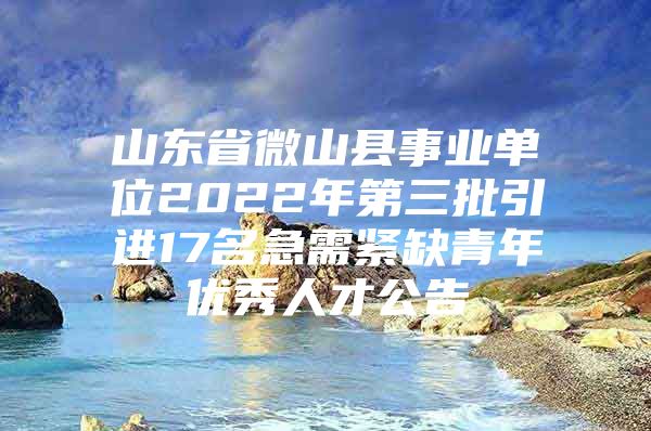 山东省微山县事业单位2022年第三批引进17名急需紧缺青年优秀人才公告