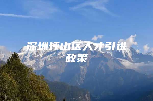 深圳坪山区人才引进政策