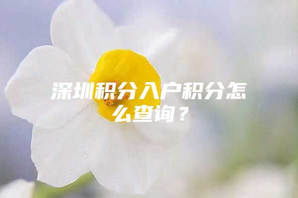 深圳积分入户积分怎么查询？