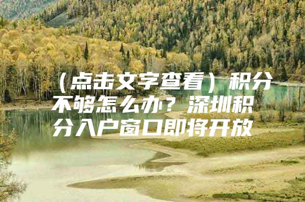 （点击文字查看）积分不够怎么办？深圳积分入户窗口即将开放