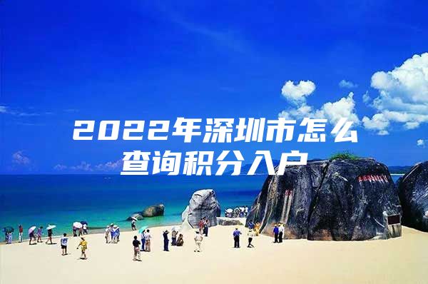 2022年深圳市怎么查询积分入户