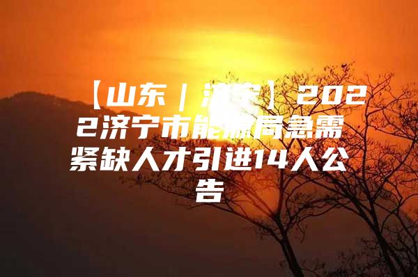 【山东｜济宁】2022济宁市能源局急需紧缺人才引进14人公告