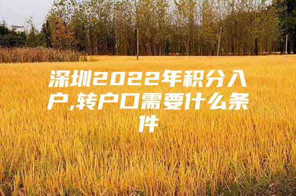 深圳2022年积分入户,转户口需要什么条件