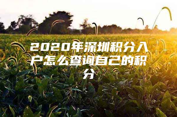 2020年深圳积分入户怎么查询自己的积分