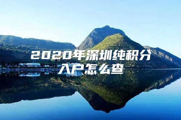 2020年深圳纯积分入户怎么查